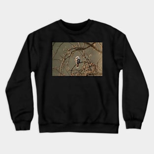 Kookaburra IV Crewneck Sweatshirt